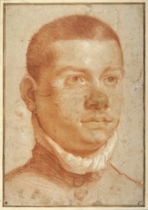 Cabeça de retrato de um homem jovem (giz vermelho) de Annibale Carracci