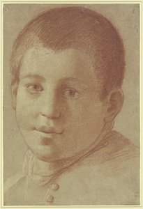 Retrato de um rapaz de Annibale Carracci
