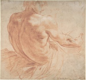 Jovem sentado voltado para a direita, visto de costas de Annibale Carracci