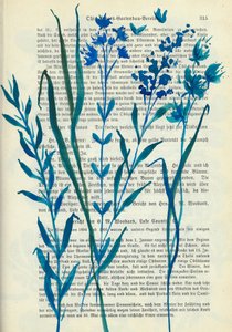 Flores Azuis - Texto Antigo de Annick