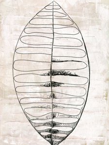 Desenhos de folhas orgânicas