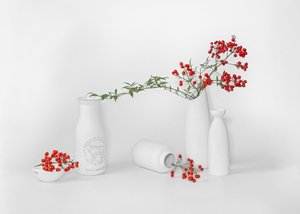 Expositor minimalista de frutos vermelhos de Annie Poreider