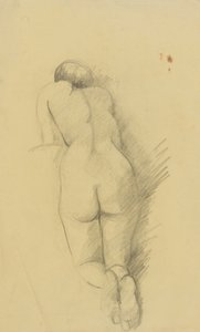 Mulher ajoelhada nua de costas