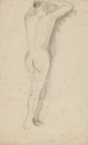 Nus de costas
