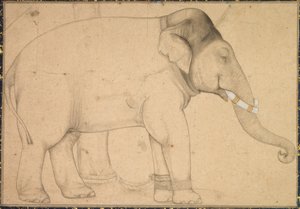 Desenho de um elefante de Anonym