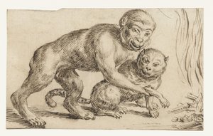 O macaco segura a pata do gato ao fogo de Anonymous