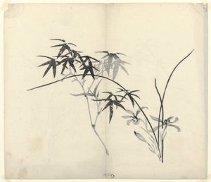 Bambu e orquídeas de Anonymous