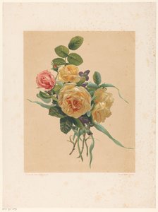 Bando de rosas e violetas de Anonymous