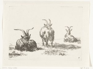 Três cabras
Cabras e ovelhas para N.P. Berchem (título da série) de Anonymous