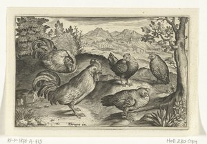 Três galos e dois galos
Aves e insectos (título da série) de Anonymous