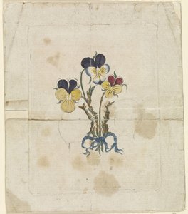 Três violetas com retratos de silhueta de Guilherme V, Príncipe de Orange-Nassau, Wilhelmina da Prússia e Frederick Guilherme II, Rei da Prússia de Anonymous