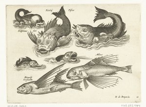 Fantásticos animais aquáticos, incluindo golfinhos e peixe-boi
Libelivs varia Genera piscium complectens (título da série)
Peixes de água doce, peixes de mar, sapos, crustáceos e criaturas do mar (título da série) de Anonymous