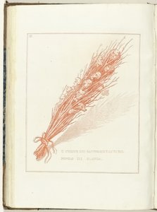 Gesel van de Provisionele Representanten van het Volk van Holland , 1795
A União dos Representantes do Povo da Holanda (título sobre o objecto)
Hollandia Regenerata (Italiaanse kopie) (título da série)
A regeneração da Holanda: espelho para todos os pov de Anonymous