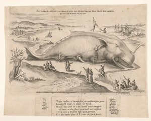 Baleia encalhada perto de Antuérpia, 1577 O waerachtich conterfeytsel e tamanho desta [n] baleia, ghevanghe[n] den 2 de julho de 1577 (título no objeto) de Anonymous