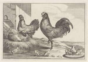 Galos, galos e pintos
Diversae avium species (título da série)
Várias aves (título da série) de Anonymous