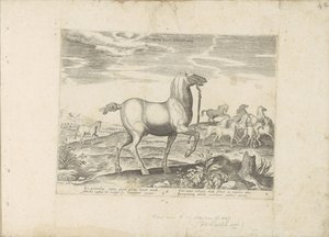 Manada de cavalos selvagens
Liberi Equi Cursitatio (título sobre o objecto)
Raças de cavalos dos estábulos reais de Don Juan da Áustria (título da série)
Equile, in quo omnis generis generosissi: morum equorum ex varijs orbis partibus insignis delectus  de Anonymous
