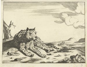 Leopardo recortado, visto de frente, pernas para a direita de Anonymous