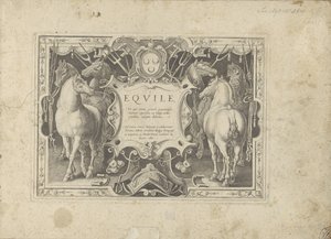 Cartela ornamenteel com título geflankeerd door padarden O cavalo, no qual todos os tipos de nobres: o comportamento de cavalos distintos de várias partes do mundo selecionado (...) (título da série no objeto) de Anonymous