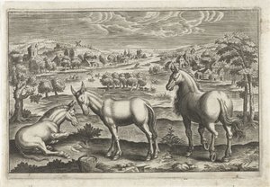 Cavalo e burros Animais de quatro patas (título da série) Animalivm Qvaddrvpedvm (título da série) de Anonymous