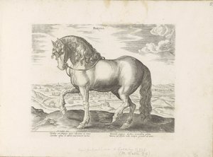 Cavalo de Friesland
Phryso (título sobre o objecto)
Raças de cavalos dos estábulos reais de Don Juan da Áustria (título da série)
Equile, in quo omnis generis generosissi: morum equorum ex varijs orbis partibus insignis delectus (...) (título da série s de Anonymous