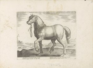 Cavalo de Gulik (Juliacus)
Juliacus (título sobre o objecto)
Raças de cavalos dos estábulos reais de Don Juan da Áustria (título da série)
Equile, in quo omnis generis generosissi: morum equorum ex varijs orbis partibus insignis delectus (...) (série ti de Anonymous