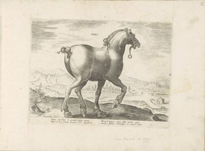 Cavalo da Saxónia
Saxo (título sobre o objecto)
Raças de cavalos dos estábulos reais de Don Juan da Áustria (título da série)
Equile, in quo omnis generis generosissi: morum equorum ex varijs orbis partibus insignis delectus (...) (título da série sobre de Anonymous