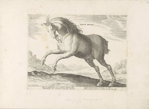 Paard van het ras Royal Horse (de Koninklijke) O Cavalo Real (título no objeto) Paardenrassen uit de Koninklijke stallen van Don Juan van Oostenrijk (título da série) Um cavalo, no qual todos os tipos de nobres: distinguidos pelas maneiras de cavalos de vá de Anonymous