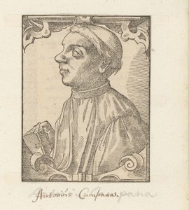 Retrato de Giovanni Antonio Campani de Anonymous
