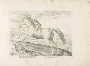 Renpaard conheceu Ruiter Cavalo mouro (título no objeto) Paardenrassen uit de Koninklijke stallen van Don Juan van Oostenrijk (título da série) O cavalo, no qual todos os tipos de nobres: as maneiras dos cavalos distinguidos de várias partes do mundo selec de Anonymous