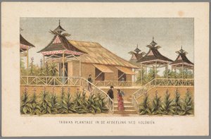 Plantação de tabaco das colónias holandesas na Feira Mundial em Amesterdão, 1883
Plantação de tabaco na secção Ned: Colónias (título sobre o objecto)
Memória de Amesterdão em 1883 (título da série sobre o objecto) de Anonymous