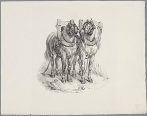 Dois cavalos preparados Seis estudos com pequenos animais (título da série) Seis estudos de pequenas feras (título da série no objeto) de Anonymous