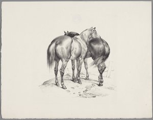Dois cavalos vistos por trás
Seis estudos com animais pequenos (título da série)
Seis estudos com animais pequenos (título da série sobre o objecto) de Anonymous