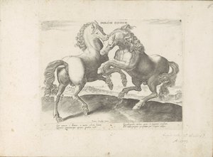Twee vechtende paarden Duelo de Cavalos (título no objeto) O cavalo, no qual todos os tipos de nobres: o comportamento de cavalos distintos de várias partes do mundo selecionado (...) (título da série no objeto) de Anonymous