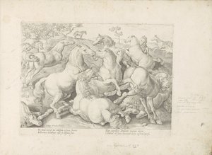 Vechtende paarden O cavalo, no qual todos os tipos de nobres: o comportamento de cavalos distintos de várias partes do mundo selecionado (...) (título da série no objeto) de Anonymous