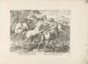 Vechtende paarden com een ​​onder de voet gelopen paard O cavalo, no qual todos os tipos de nobres: o comportamento de cavalos distintos de várias partes do mundo selecionado (...) (título da série no objeto) de Anonymous