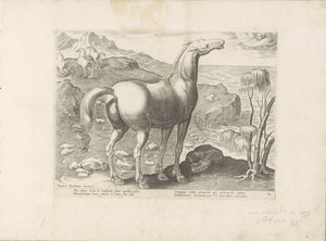 Zephyrus impregna uma égua
Raças de cavalos dos estábulos reais de Don Juan da Áustria (título da série)
Equile, in quo omnis generis generosissi: morum equorum ex varijs orbis partibus insignis delectus (...) (título da série sobre o objecto) de Anonymous