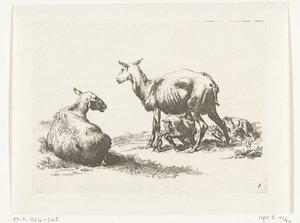 Ovelhas de enfermagem com dois cordeiros Cabras e ovelhas para N.P. Berchem (título da série) de Anonymous