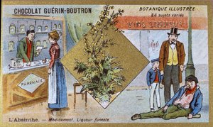 Absinto: remédio e licor mortífero. Gravura (cromo). Cromolitografia publicitária para os chocolates Guerin-Boutron, finais do século XIX. Série Botânica Illustree. de Anonymous Anonymous