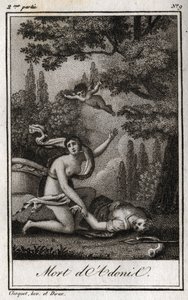 A morte de Adónis. Gravura de 1819 em "Lettres a Emilie sur la mythologie" de Charles Albert Demoustier (1760-1801). Coleção privada. de Anonymous Anonymous