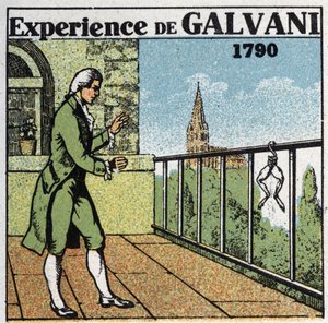 Baterias e acumuladores: experiência de Luigi Galvani (1737-1798) em eletrocicito com coxas de rã para ver os efeitos sobre os músculos, em 1790. Ilustração anônima de 1925. Coleção particular. de Anonymous Anonymous