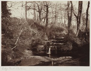 Edge Park, Cheshire, c.1865 (impressão albuminada a partir de negativo de vidro) de Anonymous Anonymous