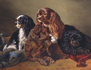 Rei Charles Spaniels de Anonymous Anonymous