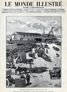 Comércio marítimo: descascamento de uma chegada de codornizes do Egito no porto de Marselha. Um jornal. Gravura em "Le monde illustree" de 1892. Colecção privada. de Anonymous Anonymous