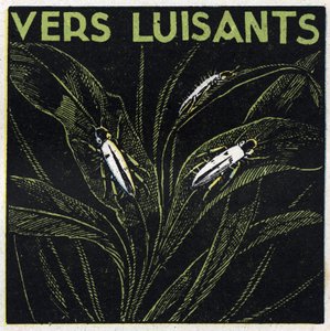 Fosforescência: verdes brilhantes. Ilustração anónima de 1925. Coleção privada. de Anonymous Anonymous