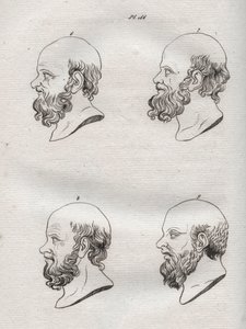 Fisiognomia - Fisiognomonia - Várias cabeças do filósofo grego Sócrates (ca. 469 AC-399 AC) (Busto de Sócrates (ca. 469 AC-399 AC), filósofo ateniense) gravura de 1808 em "A arte de conhecer os homens através da fisionomia" de Johann Gaspar (Gaspard) Lavat de Anonymous Anonymous