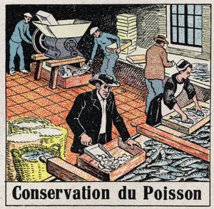 A Indústria do Frio: Conservação de Peixes no Gelo. Ilustração anónima de 1925. Coleção privada. de Anonymous Anonymous