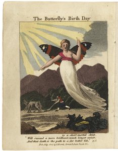 Página de título de The Butterfly