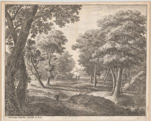 Um caminho pela floresta, século XVII. de Anthonie Waterloo