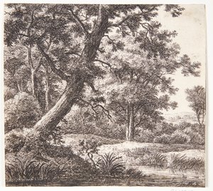  de Anthonie Waterloo