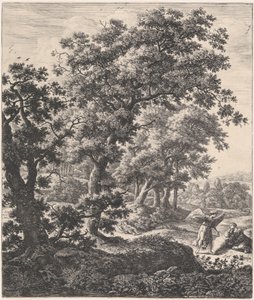 Floresta. de Anthonie Waterloo